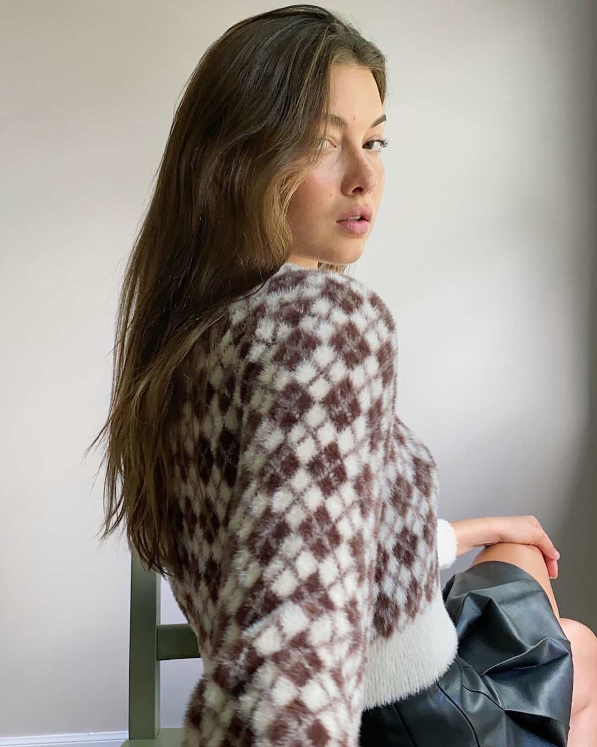 Aritzia Sunday Best Kitten Argyle Cropped Sweater